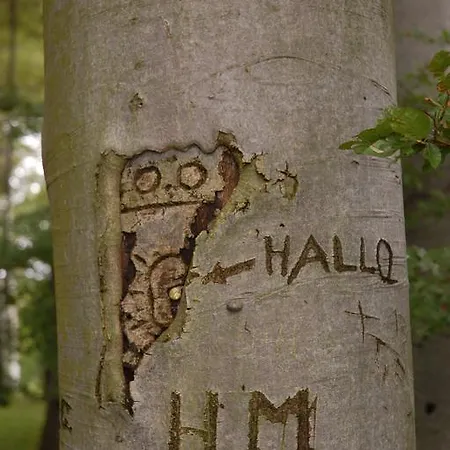 费沃米瑞斯特劳姆酒店 公寓 萨斯尼茨