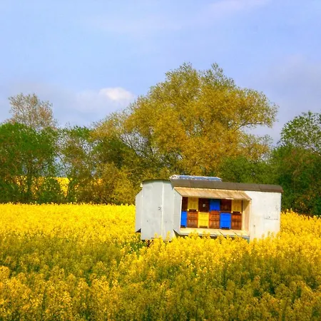 费沃米瑞斯特劳姆酒店 公寓 萨斯尼茨