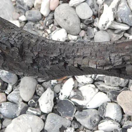 费沃米瑞斯特劳姆酒店 公寓 萨斯尼茨