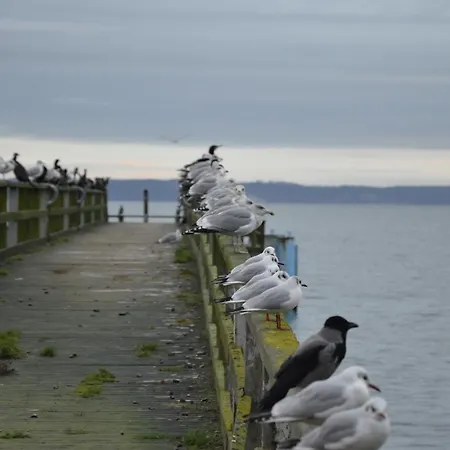 费沃米瑞斯特劳姆酒店 *
