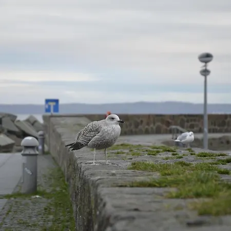 费沃米瑞斯特劳姆酒店 *